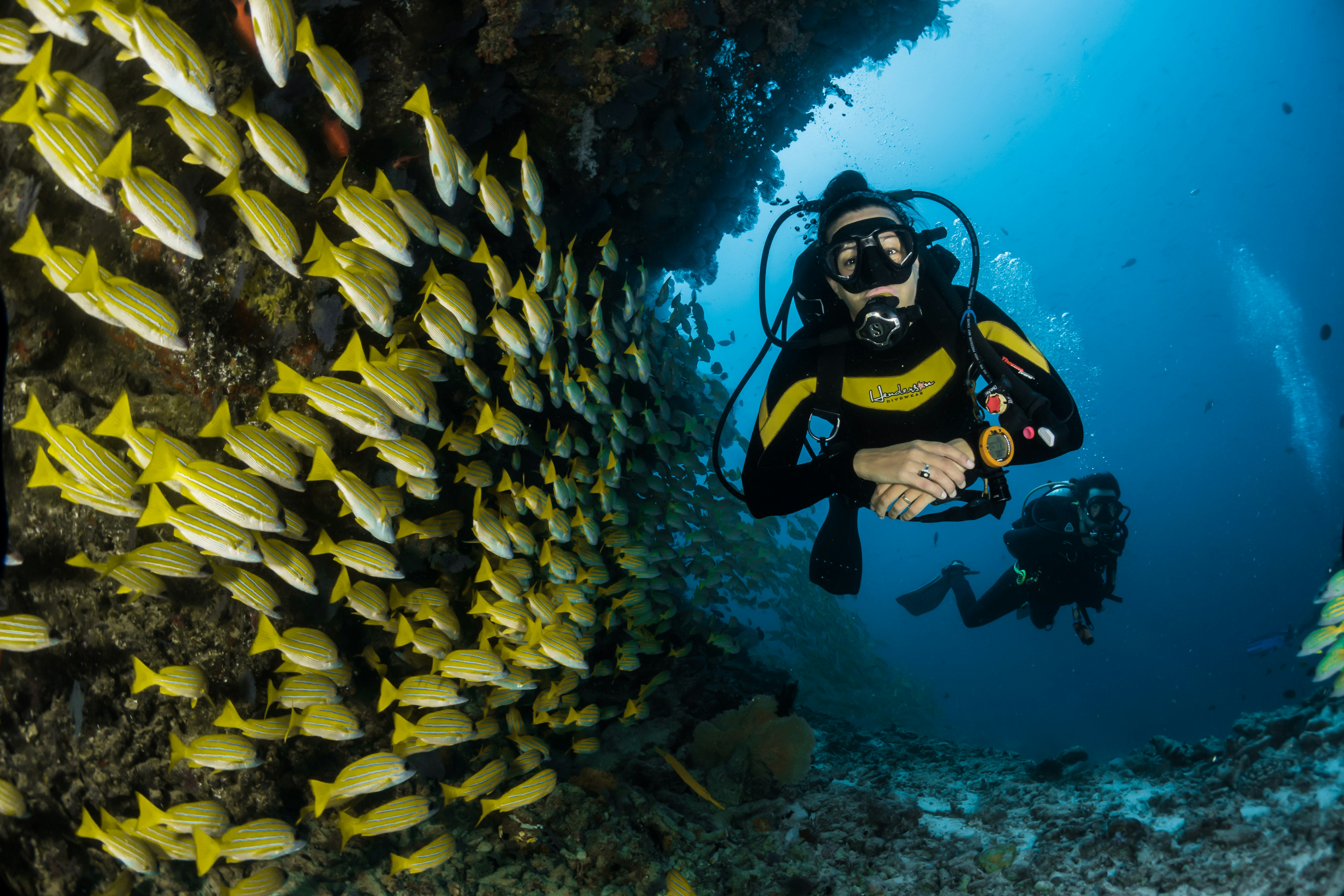 Unveiling the Depths: Captivating Chinese Audiences for Diving Schools on Social Media